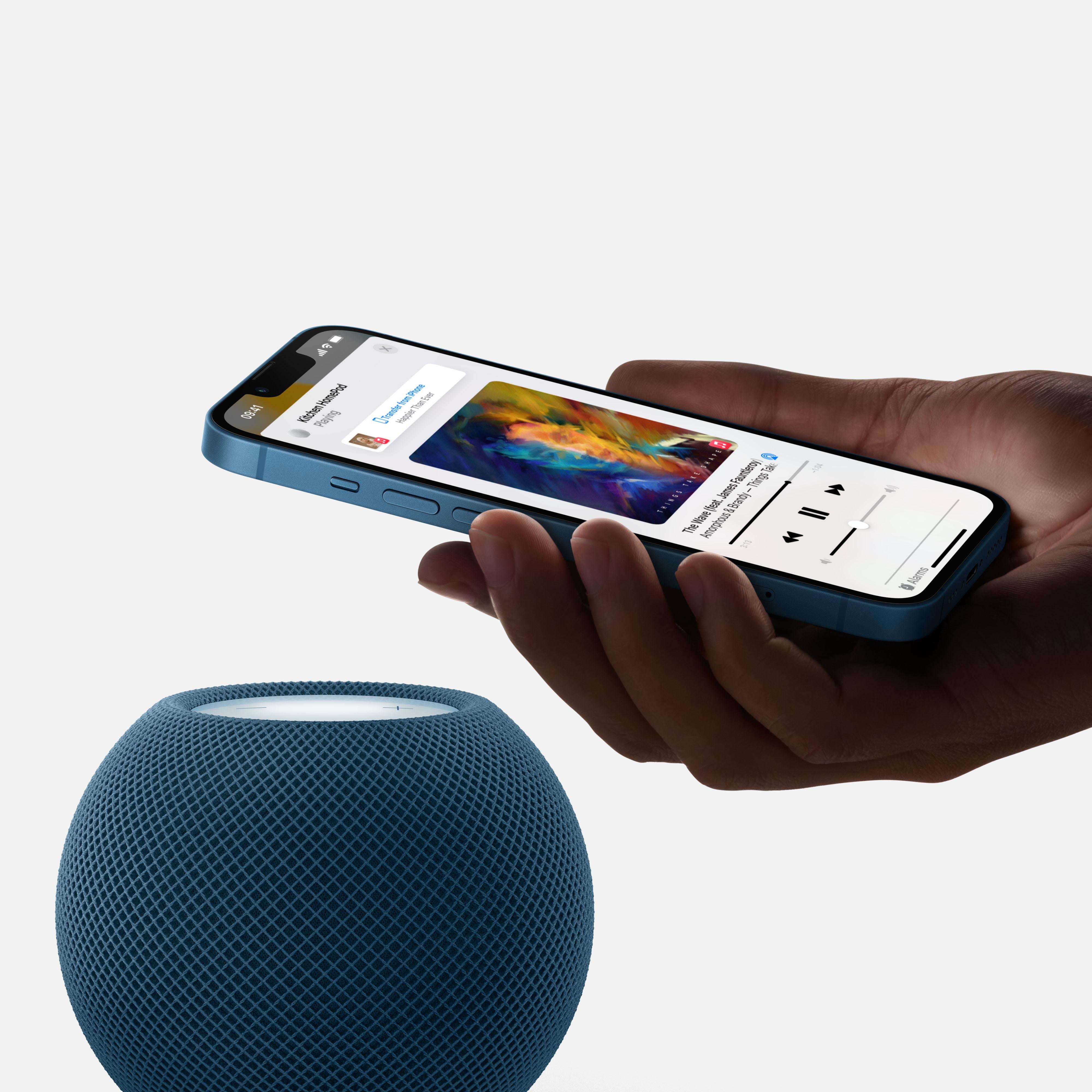 Apple かわいい Homepod mini 2台セット スペースグレー 売買されたオークション情報 落札价格 【au  payマーケット】の商品情報をアーカイブ公開