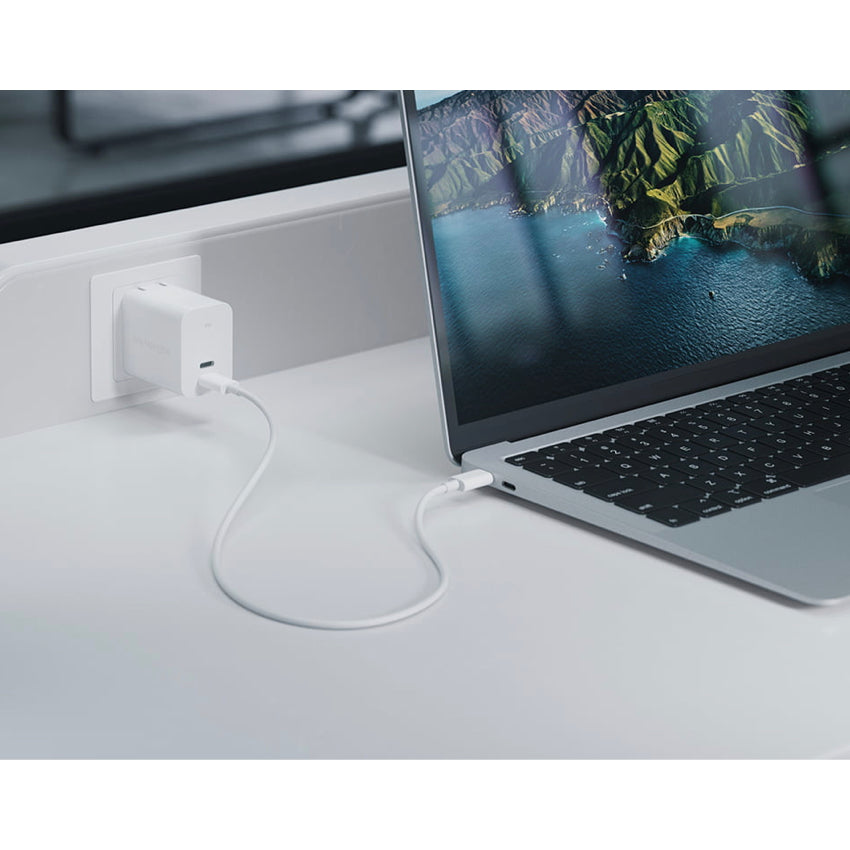 Innergie C3 Duo USB-C Power Adapter 30W